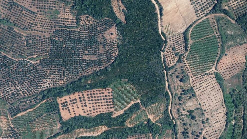 Read more about the article Πως θα γίνει η αναμόρφωση και τροποποίηση των δασικών χαρτών