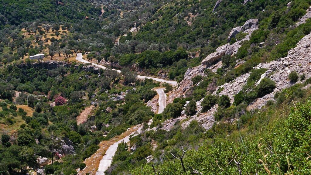 Read more about the article Δασικοί χάρτες: Ερχονται ρυθμίσεις για δασωμένους αγρούς και εκχερσωμένες εκτάσεις